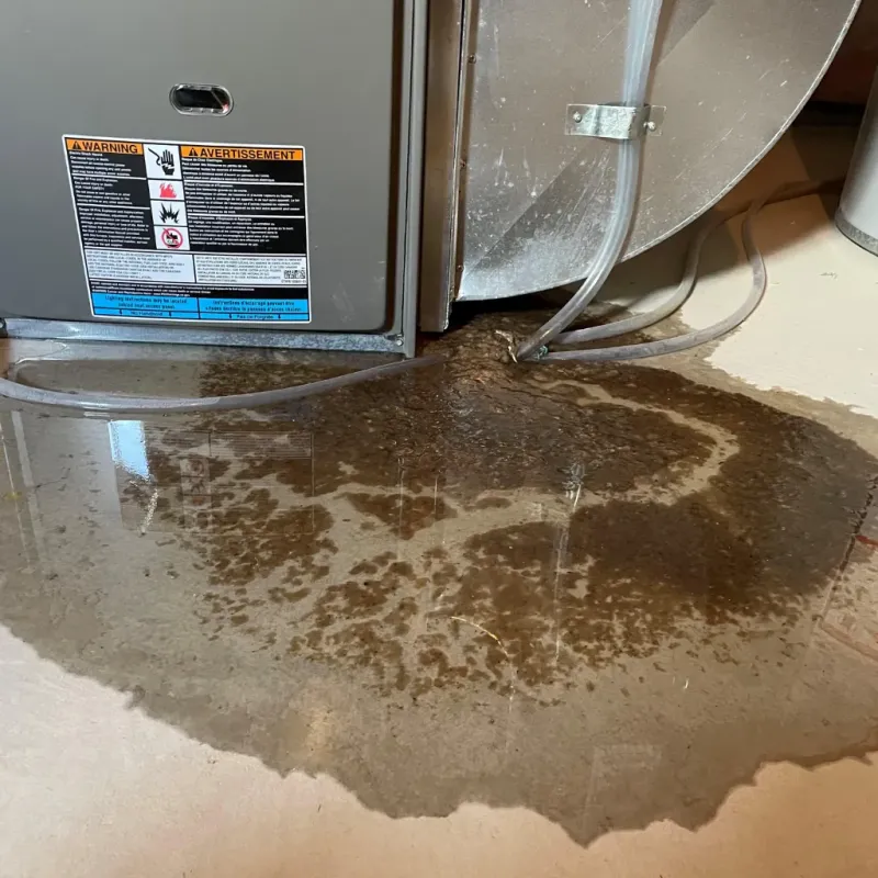Appliance Leak Cleanup in Yale, OK