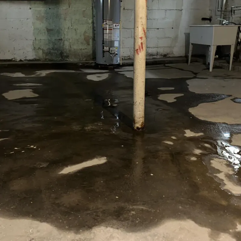 Emergency Water Extraction And Removal in Yale, OK